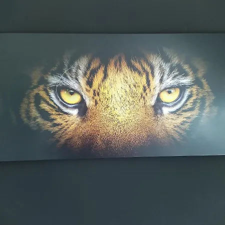 Dachsberg Maritim * ברמאטינגן