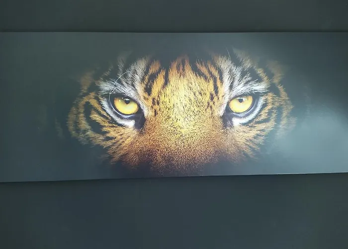 Dachsberg Maritim * Bermatingen